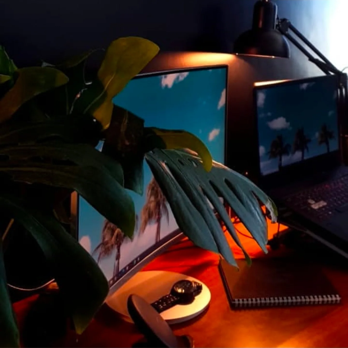 Création L’Alchimiste Studio 2